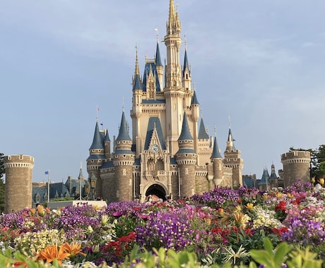 ディズニーの効率的な回り方を教えます 来園回数100回超えの私が効率的なパークの回り方を提案します イメージ1