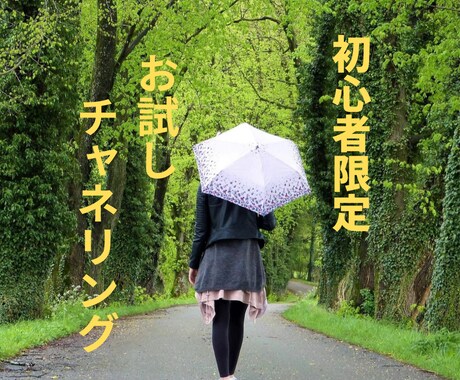 初心者限定チャネリングでお悩みにお答えします お悩みに隠されたテーマを導き出します。 イメージ1