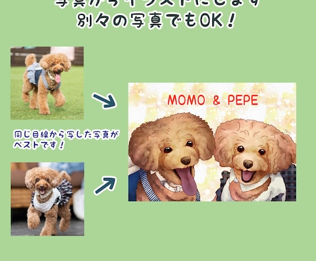 あなたの「うちの子」を水彩画風イラストにします 心に残る、絵本のようなタッチの水彩画風デジタルイラストです イメージ2