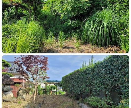 空き家などの所有地の剪定・草刈り・伐採します 現役の植木屋が相談に乗ります。 イメージ2