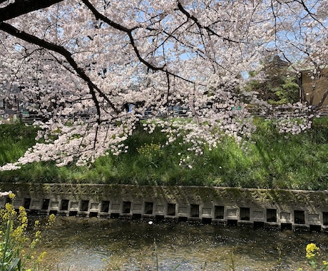 初心者向けオンライン日本語レッスンをします Japanisch für Anfänger イメージ2