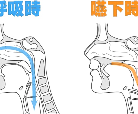 歯科関連の動くベクターイラストを描きます 患者説明に最適！歯科衛生士が作る動くイラスト イメージ1