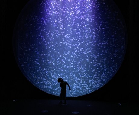 西洋占星術に基づいたコーチングにより夢を実現します 好きなことで生きていくためにすべきことを引き出します イメージ1