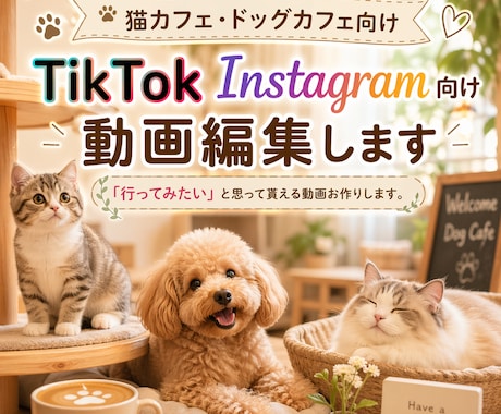 猫カフェ・犬・小動物も！集客に繋がる動画編集します 「この子に会いたい！」を引き出す、動物カフェ動画 イメージ1