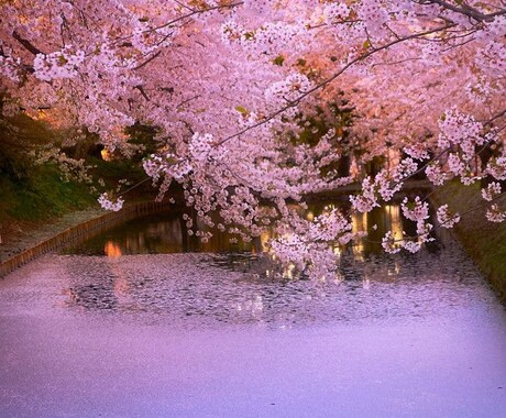 好きな人の気持ちを一緒に整理します 言えない恋の話も安心してどうぞ イメージ1