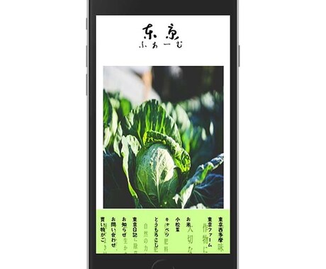 格安！！WordPressでホームページつくります サポート付きの自分で管理するホームページ持ちましょう イメージ2