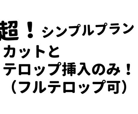 動画のカットとテロップ挿入のみを行います イメージ1