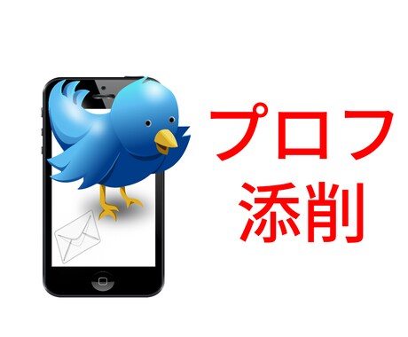 Twitterプロフィール５つ添削アドバイスします あなたの魅力を伝えきりましょう！ツイッター拡散・宣伝OP有り イメージ1