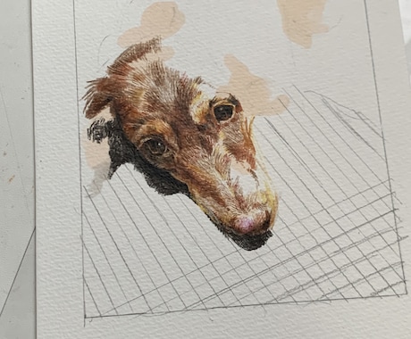 格安！リアルな愛犬、愛猫イラストを描きます プレゼントやメモリアルイラスト、お部屋に飾るのにオススメ☆ イメージ2
