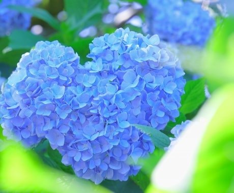 話し相手が必要なかたへ。話を聞きます。励まします 話し相手になります(^^)あなたの気持ちが癒されますように。 イメージ2