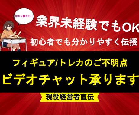 フィギュア・トレカのスポットコンサル承ります 現役経営者がリアルタイムでサポート◎ 知識0でも大歓迎！ イメージ1