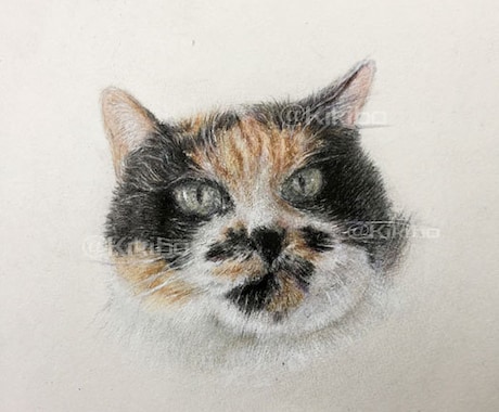 大事なペットの肖像画を描きます ただ細かく描き写すのでなく、雰囲気のある作品に仕上げます！ イメージ2
