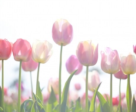 悲しかったつらかった過去を癒します 過去のこころのモヤモヤ、一緒に解消しませんか？( ᵕᴗᵕ ) イメージ1