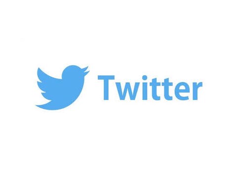 貴社のTwitterアカウント立ち上げます SNSアカウントの管理運用でお悩みのあなたへ イメージ1