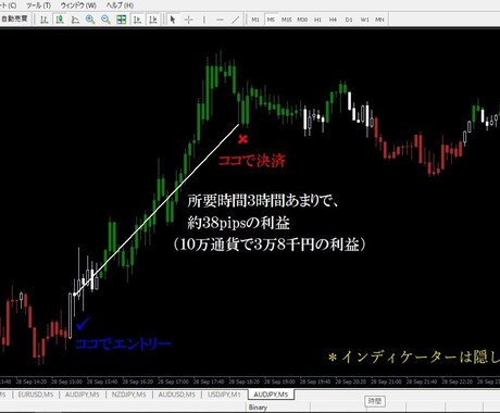 Day Trader light を出品します DayTrader 天底シリーズ入門システム。ジュニア‼ イメージ2