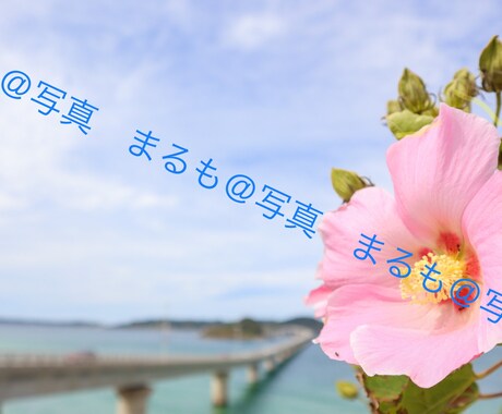 1〜3カットまで！広告等で使える写真を提供します 使い勝手の良い写真をお求めの方に！ イメージ2