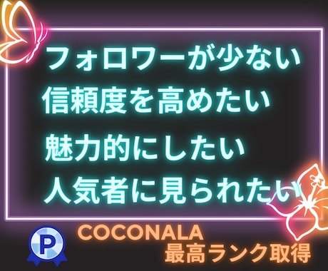 インスタのフォロワー＋10000人増やします Instagram1万人増加！振り分け可能！4月限定特価！ イメージ2