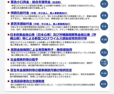 企業、個人事業主様向け補助金のアドバイス致します 企業、個人事業主様向けに国から出ている補助金の申請サポート イメージ1