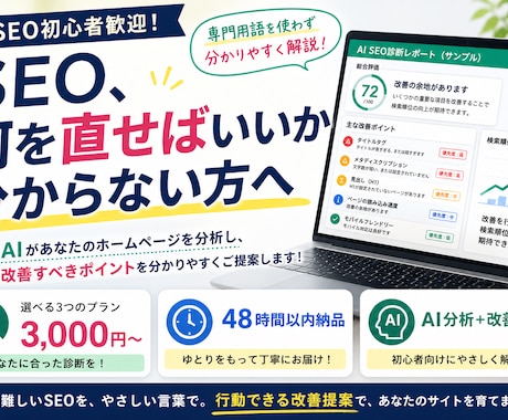 専門用語なし！点数でわかるHPのSEO診断します クリックで修正法が開く！動く報告書タイプのSEO改善診断 イメージ1