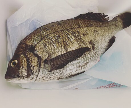 釣り教えます 初めての方や、もっとうまくなりたいかたに。 イメージ2