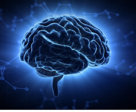 あなたの脳スタイルを診断・数値化します 「脳スタイル診断テスト」を使って思考のクセを数値化します！ イメージ1
