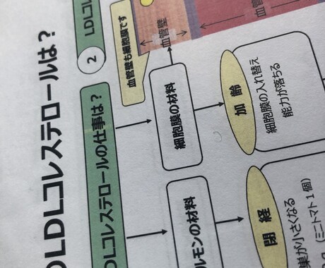相談のみ。病態別の栄養相談をいたします 生活習慣病の病態に特化した栄養相談 イメージ2