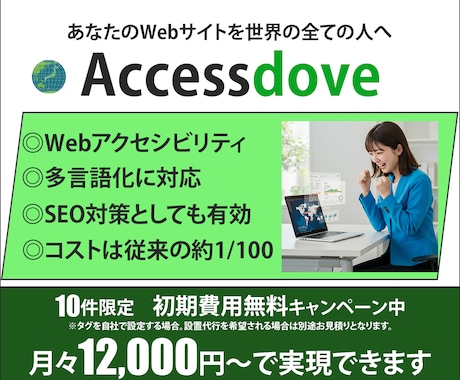 Webアクセシビリティを簡単・低コストで実現します タグを設置するだでけでWebアクセシビリティと多言語化を実現 イメージ1