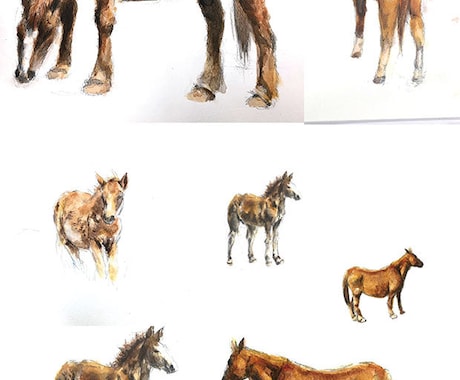 リアルな動物イラスト描きます ペットやお客様の好きな動物をお描きします。 イメージ2