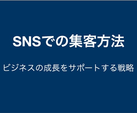 一番手取り早いSNSでの集客方法を一気に教えます SNSでのビジネスの成長をサポートする戦略を一気に教えます イメージ1