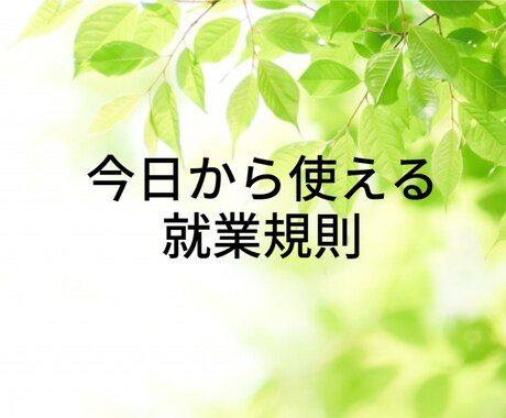今日から使える就業規則あります ～御社に必要な規定のみお選びいただけます～ イメージ1