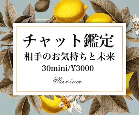 30分チャットリアルタイム相手の気持ち未来占います 片思い 複雑愛 未来予知 婚活 不倫 復縁 音信不通 イメージ1