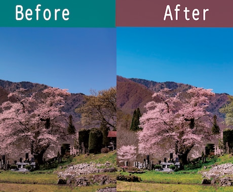 写真・画像の加工・修正します 人物・風景・商品など、なるべくお安く幅広く対応！ イメージ2