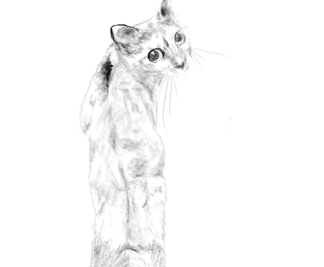 愛しいペットを柔らかな鉛筆画にかえて肖像画にします 写真にはない温もりを。大切なペットとの思い出を鉛筆画で形に。 イメージ2