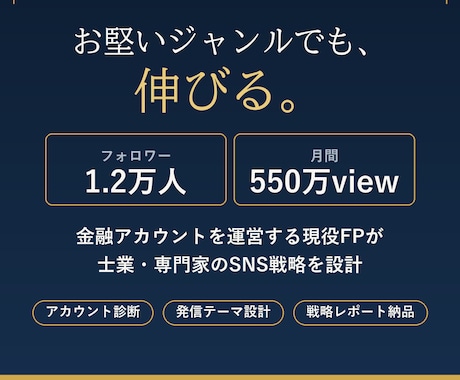 金融1.2万人FPが専門家のSNS戦略を設計します お堅い金融ジャンルで1.2万人を集めた実体験を共有します イメージ1