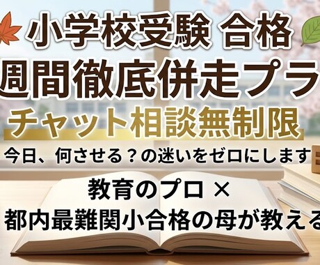 小学校受験！1週間チャット相談にて徹底伴走します 学習の迷いをゼロに！最難関小合格の母が1週間徹底学習サポート イメージ1