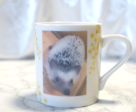 うちの子写真でオーダーメイドマグカップを制作します 大切な家族であるペットの可愛いオリジナルマグカップ イメージ2