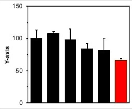 化学論文で見るようなグラフの作成方法を教えます 論文や報告会でも使える! Excelのみでのグラフ作成! イメージ2