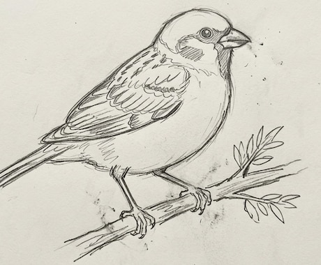 あなたのためにイラストを描きます イメージ1