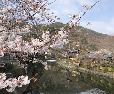 あなたの京都観光をとびっきり楽しい時間にします 学生によるゆったりまったり京都観光案内 イメージ2