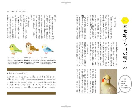 同人誌・パンフレット等、DTP制作いたします デザイン性の強い紙面を作ります！ イメージ2