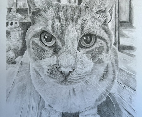 鉛筆画でペットのリアル似顔絵を手描きで作成致します 犬・猫を鉛筆で細部まで丁寧に描きます！ イメージ2