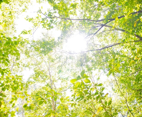 持病等による心の相談受けます 患ってから早うん年、それでも我らは生きている イメージ1