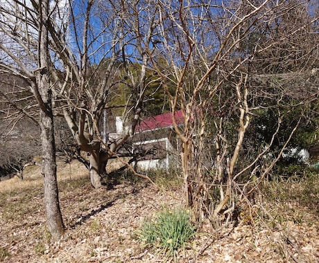 不動産の賃貸・購入相談、運営相談お受けします 収益不動産、居住用不動産に強みを持っています！ イメージ2