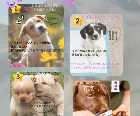 Instagram・SNS投稿画像を制作します 子育て・ペット・スポーツ関連のデザインが得意です イメージ2