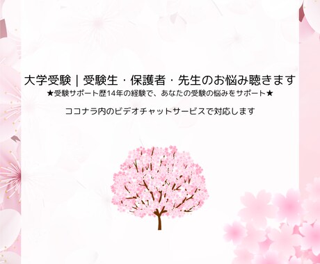 大学受験｜受験のお悩み解決します ★受験サポート歴14年の経験であなたの受験の悩みをサポート★ イメージ1