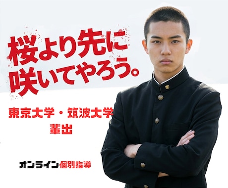 AI分析で志望校専用の合格ロードマップを作成します 東大・筑波大合格者を輩出した戦略であなたを合格に導きます イメージ1