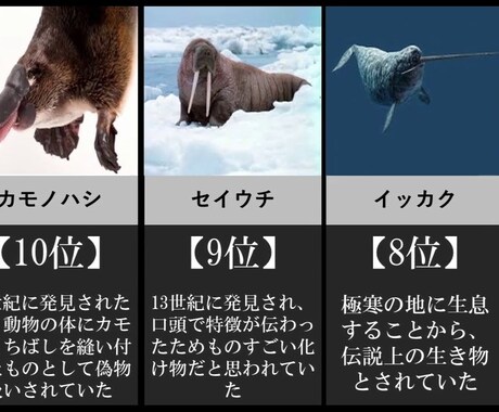 YouTube ランキング(比較)系動画制作します 現在人気のランキング系動画1本1000円で制作致します。 イメージ1