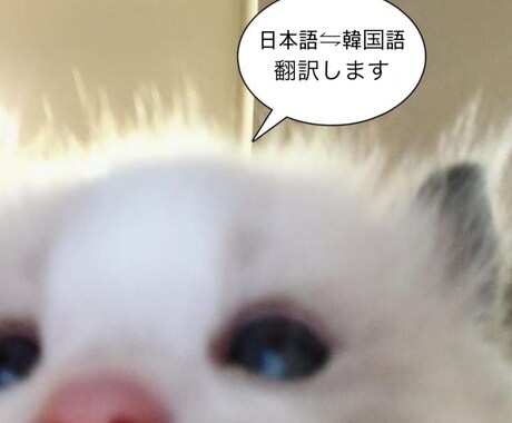 日⇋韓 翻訳します イメージ1