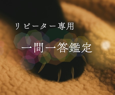 鑑定のリピーター専用【一問一答】で鑑定致します ●簡潔に・要点だけ知りたい方へ イメージ1
