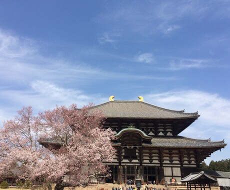 ５泊６日広島、京都、奈良、姫路城の旅程シェアします 〜５つの世界遺産とアベノハルカスを満喫できました〜 イメージ1